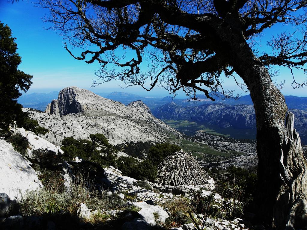 Su Cannonariu Orosei Exteriör bild
